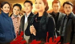 电视剧黄大妮,逆境中的坚韧与成长