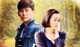 咱家电视剧演员表,揭秘咱家电视剧演员阵容