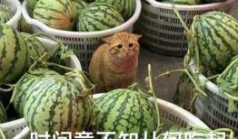 吃瓜爆料在哪里找