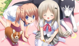 十八禁动漫网站,十八禁动漫网站的隐秘世界